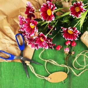 47 Floral Design Classes