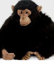 26 Animal Kingdom Stuffies