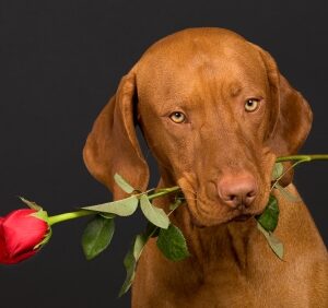 10 A Little Something