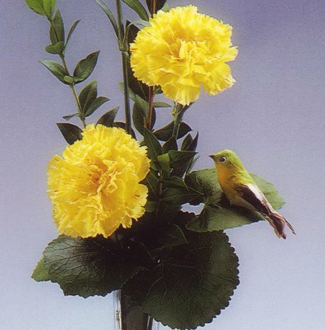carnation vase