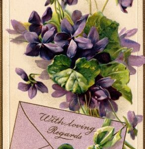 37 Gift Certificates