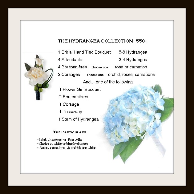 hydrangea wedding package