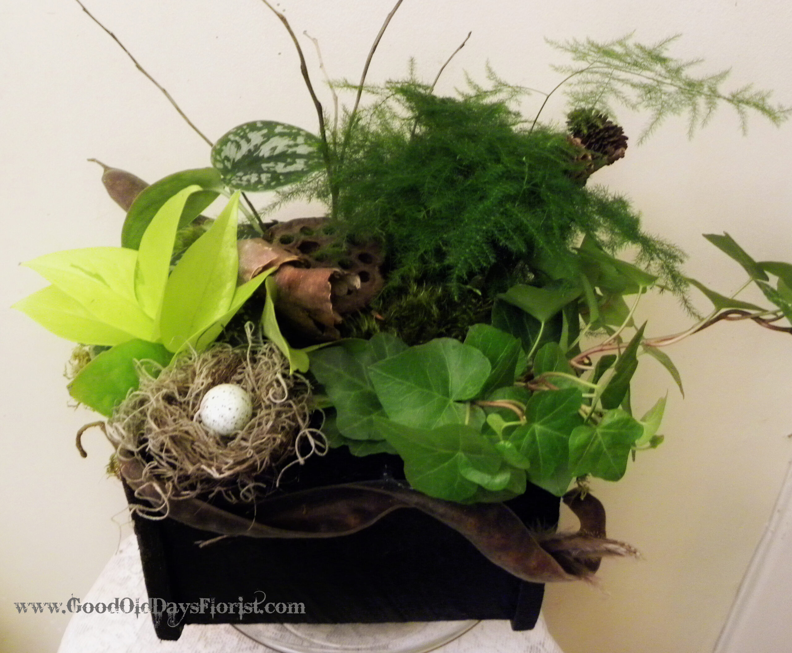 A Live Forest Bathing Garden - Image 2