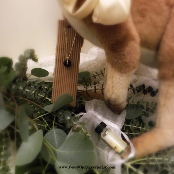 eucalyptus project kit