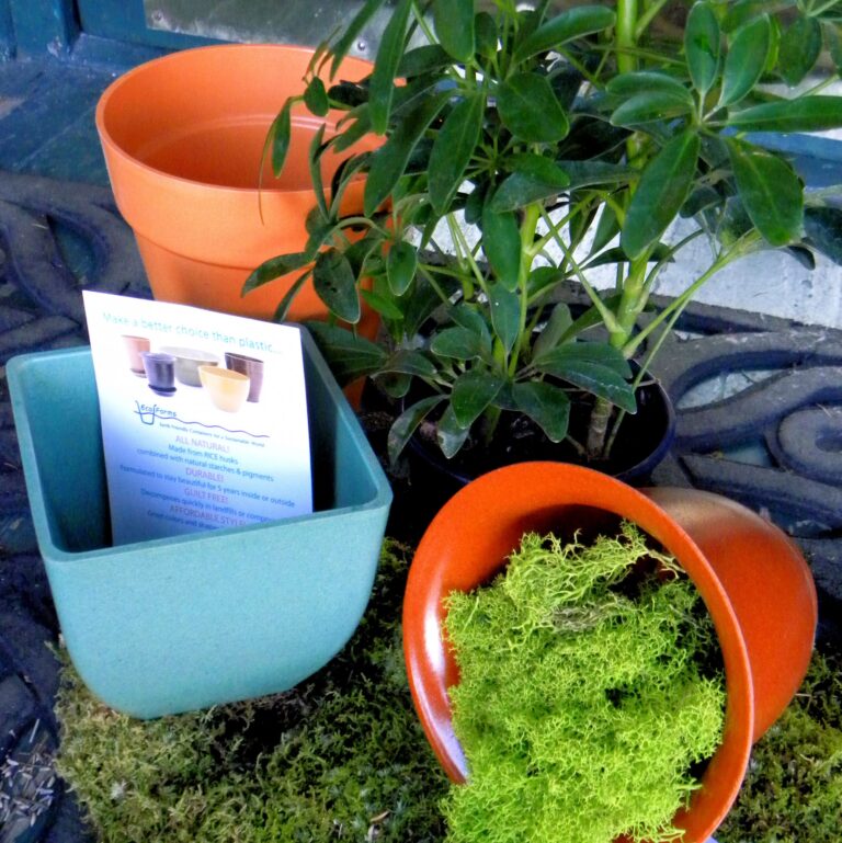 Florist New Windsor NY Flower Delivery In New Windsor New York