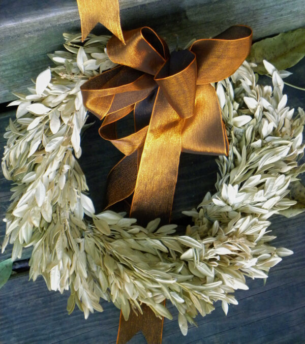 dried bleached boxwood