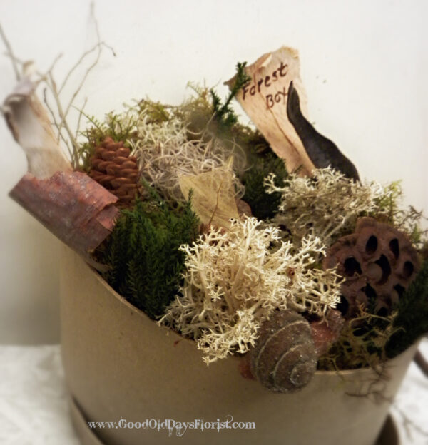 A Forest Bathing Box-Dry Preserved - Image 3