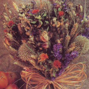 34 DRIED FLOWER STORE